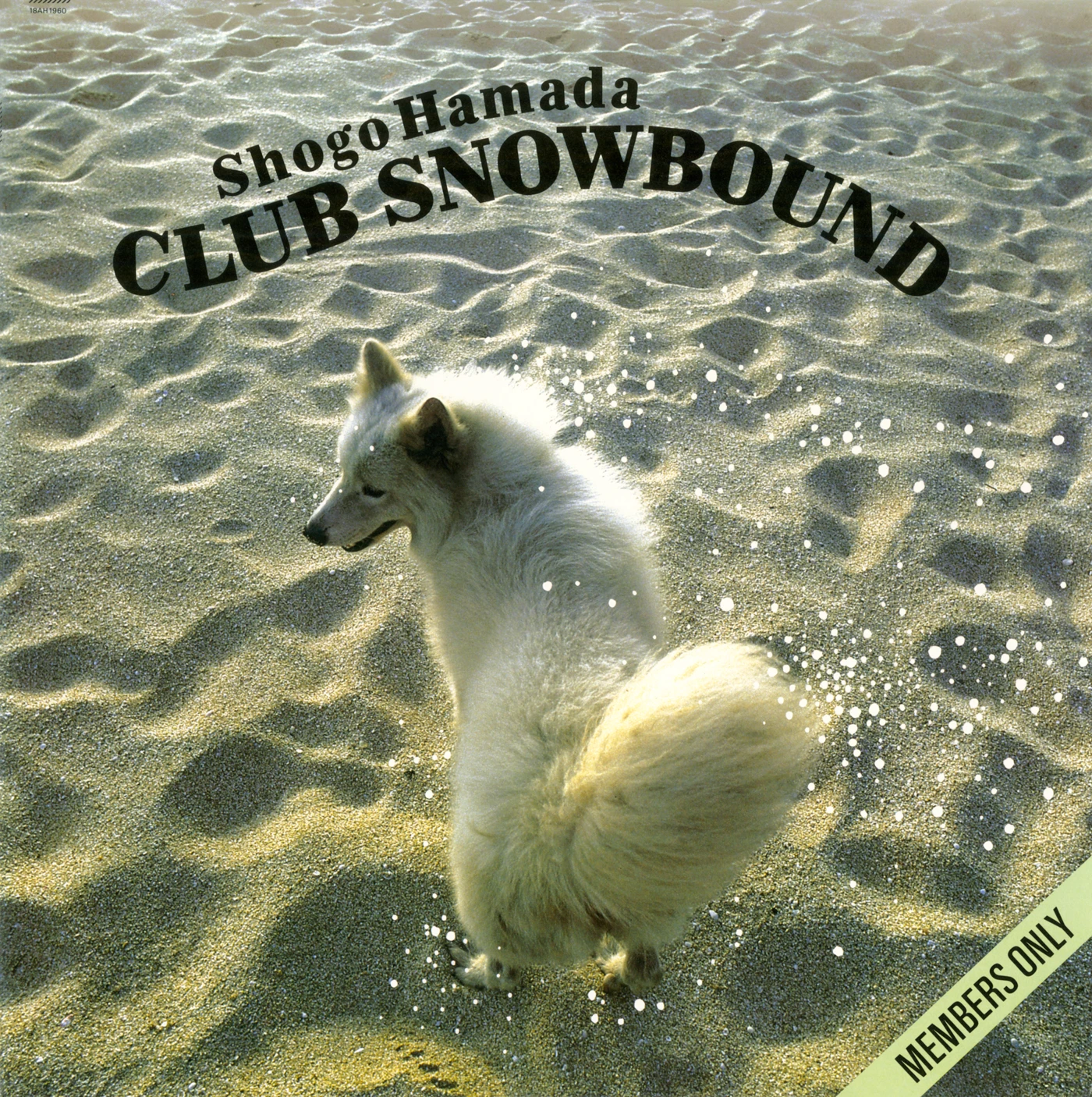 Club Snowbound – 浜田省吾