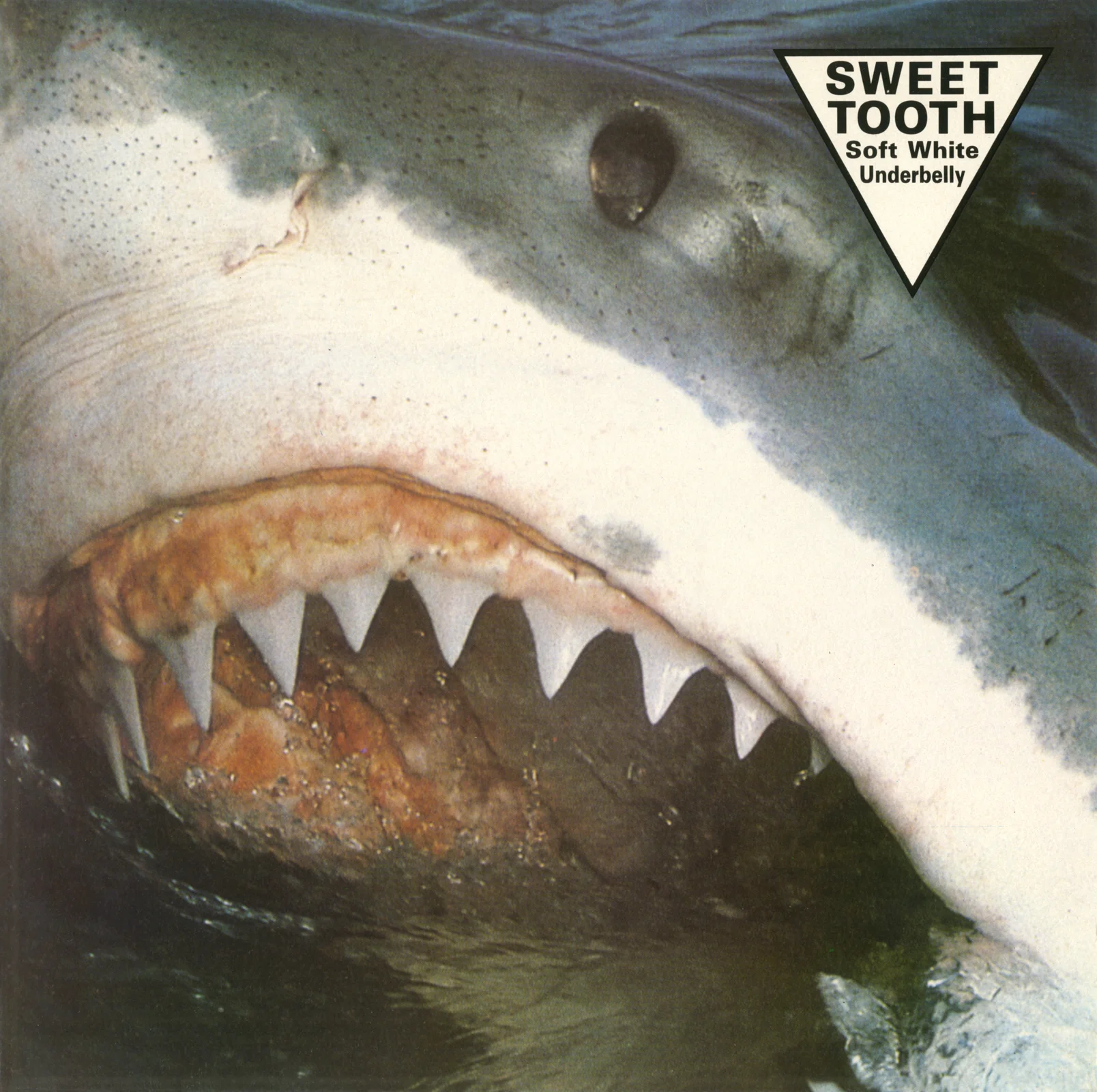 Soft White Underbelly – Sweet Tooth